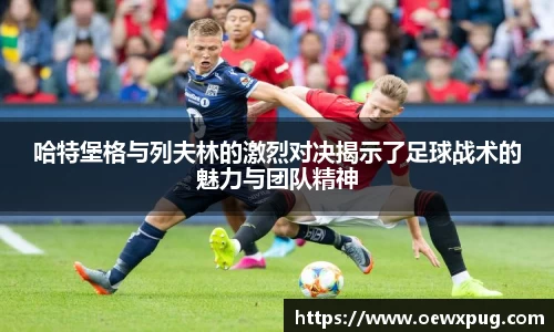 yy易游体育官网