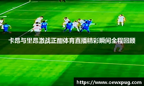 yy易游体育官方网站