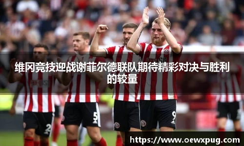 yy易游体育官网