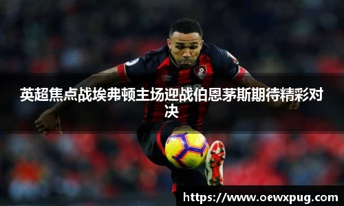 yy易游体育官网