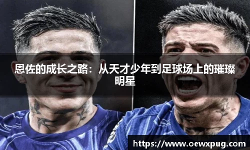 yy易游体育官网