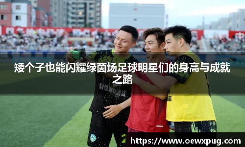 yy易游体育官网