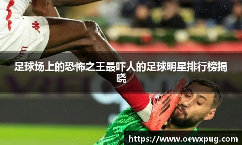 yy易游体育官网